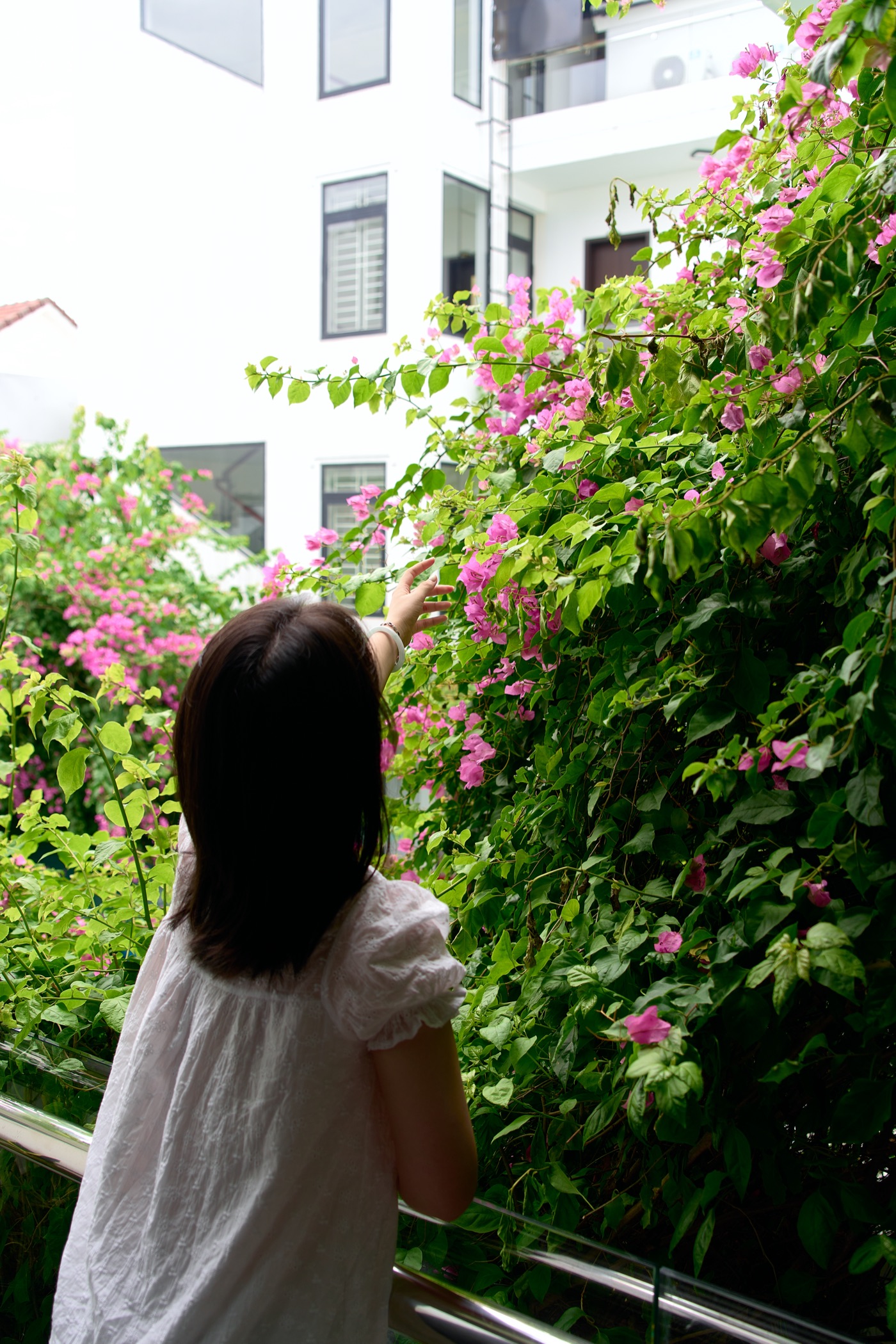 A guest reaching for bougainvillea blooms from a room balcony